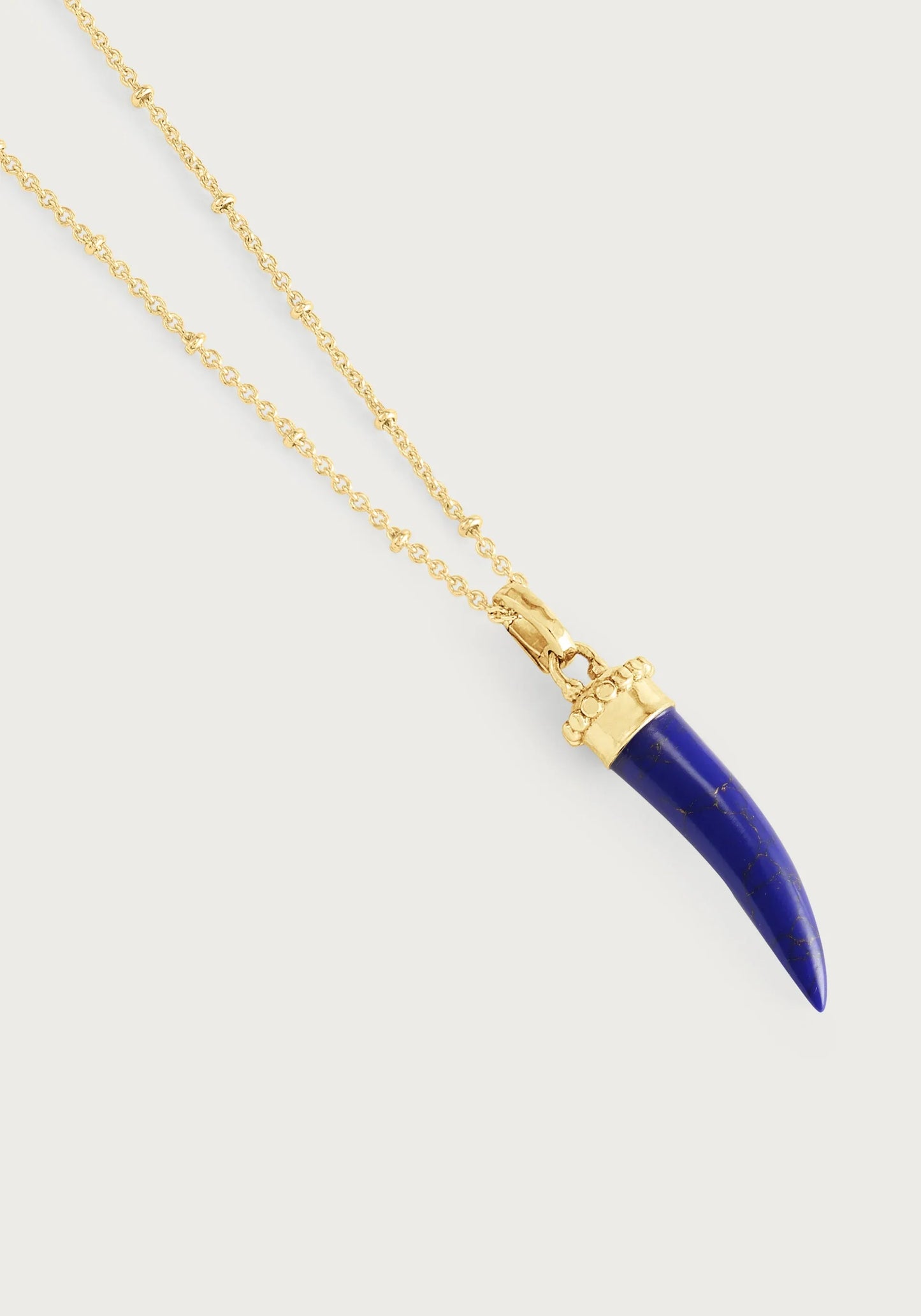 Anabel Aram Forza Lapis Horn Charm