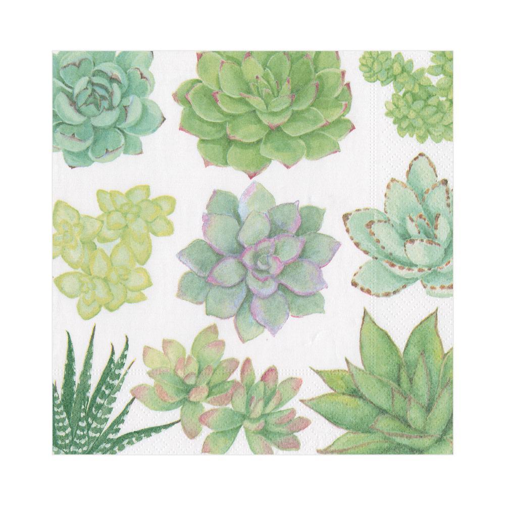 Caspari Luncheon Napkins: Succulents