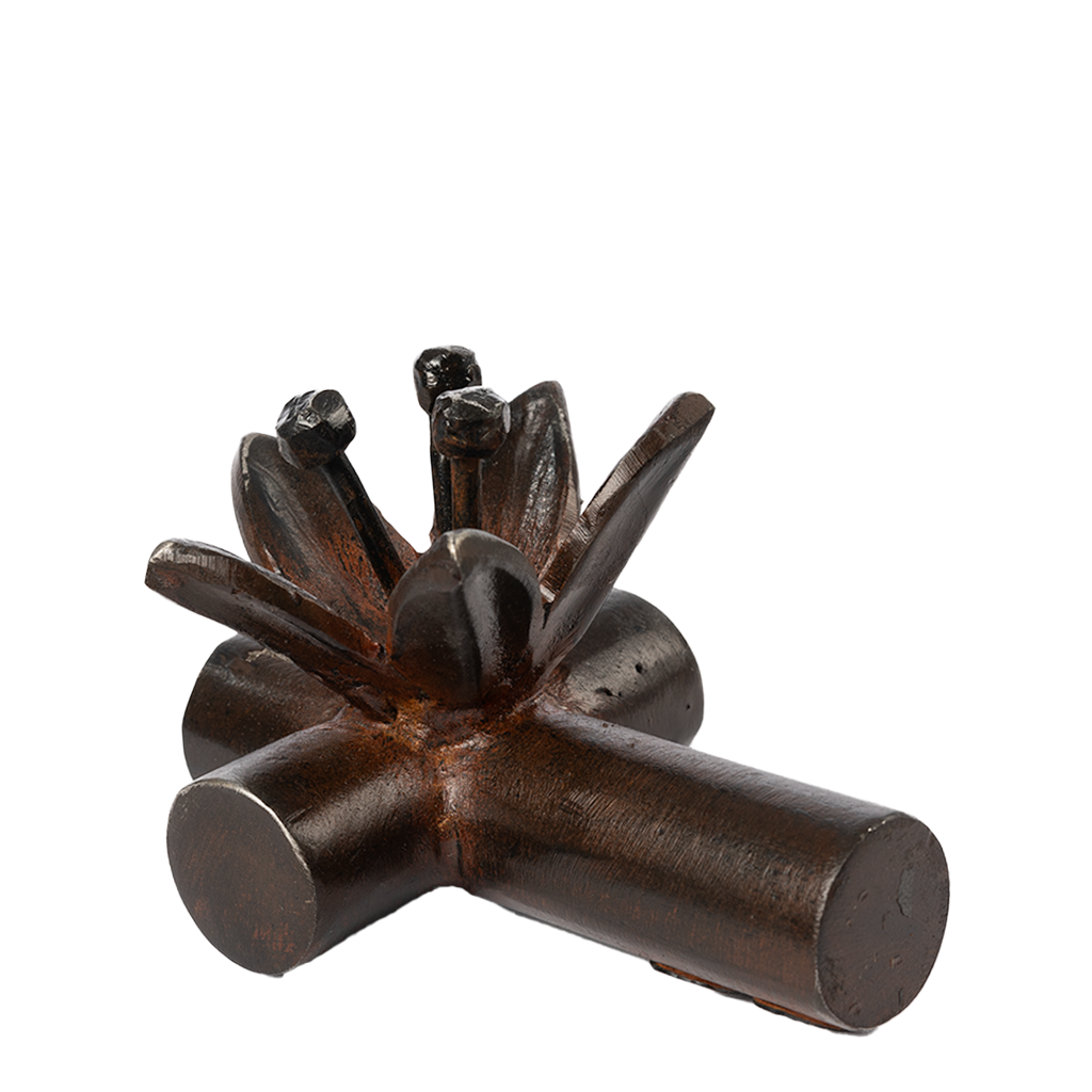 Jan Barboglio Pequeña Passion Cross