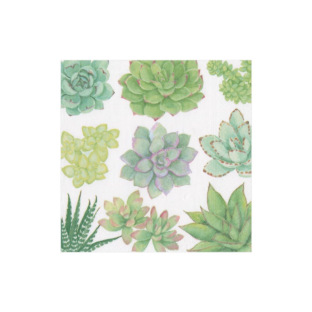 Caspari Cocktail Napkins: Succulents