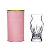 Waterford Giftology Lismore Vase In Pink Cylinder 6in