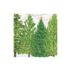 Caspari Christmas Trees with Lights Paper Cocktail Napkins