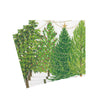 Caspari Christmas Trees with Lights Paper Cocktail Napkins