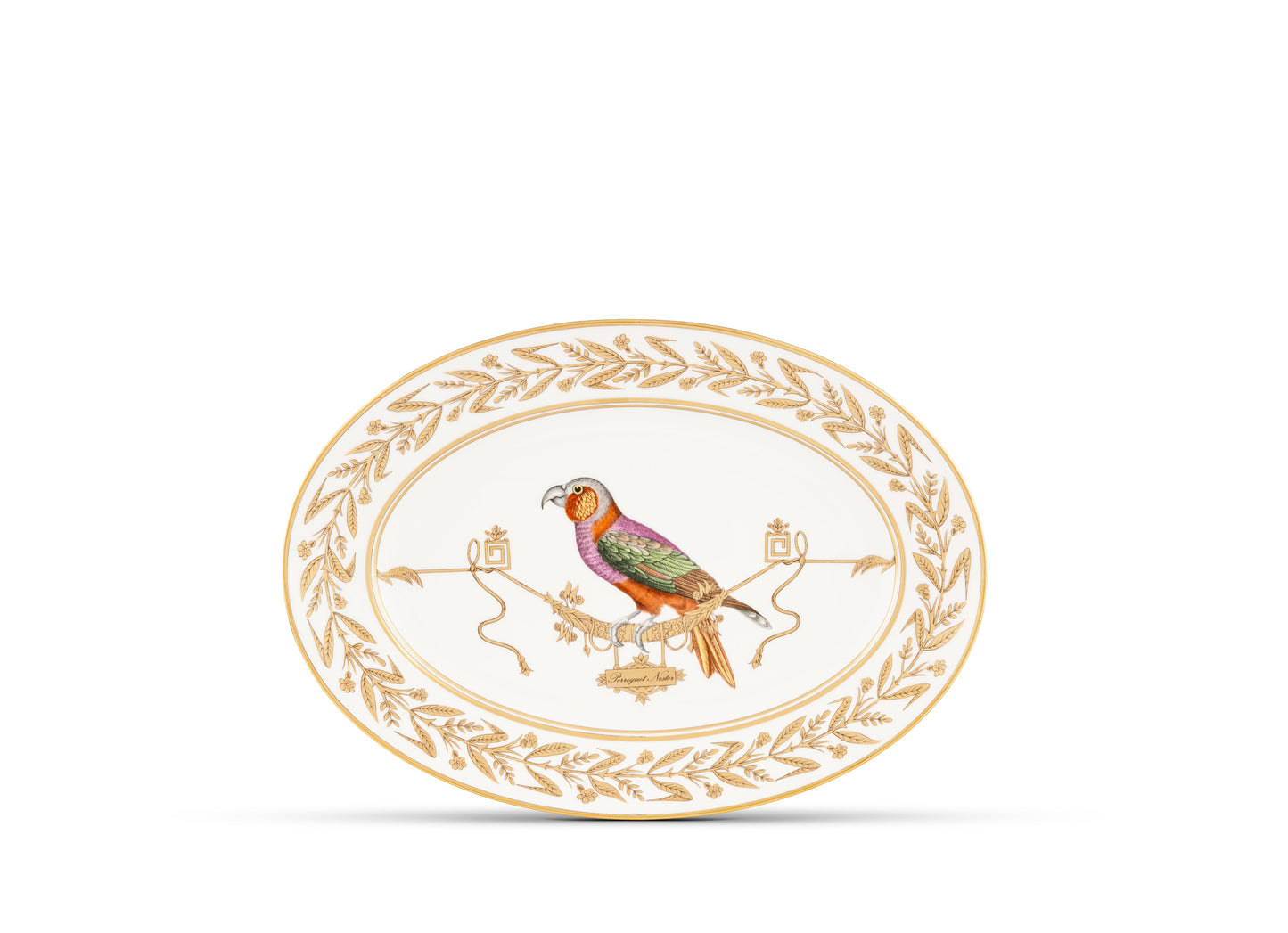 Ginori 1735 Voliere Perroquet Oval Platter