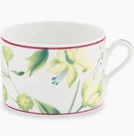 Ginori 1735  Florenza Acanto Green Tea Cup
