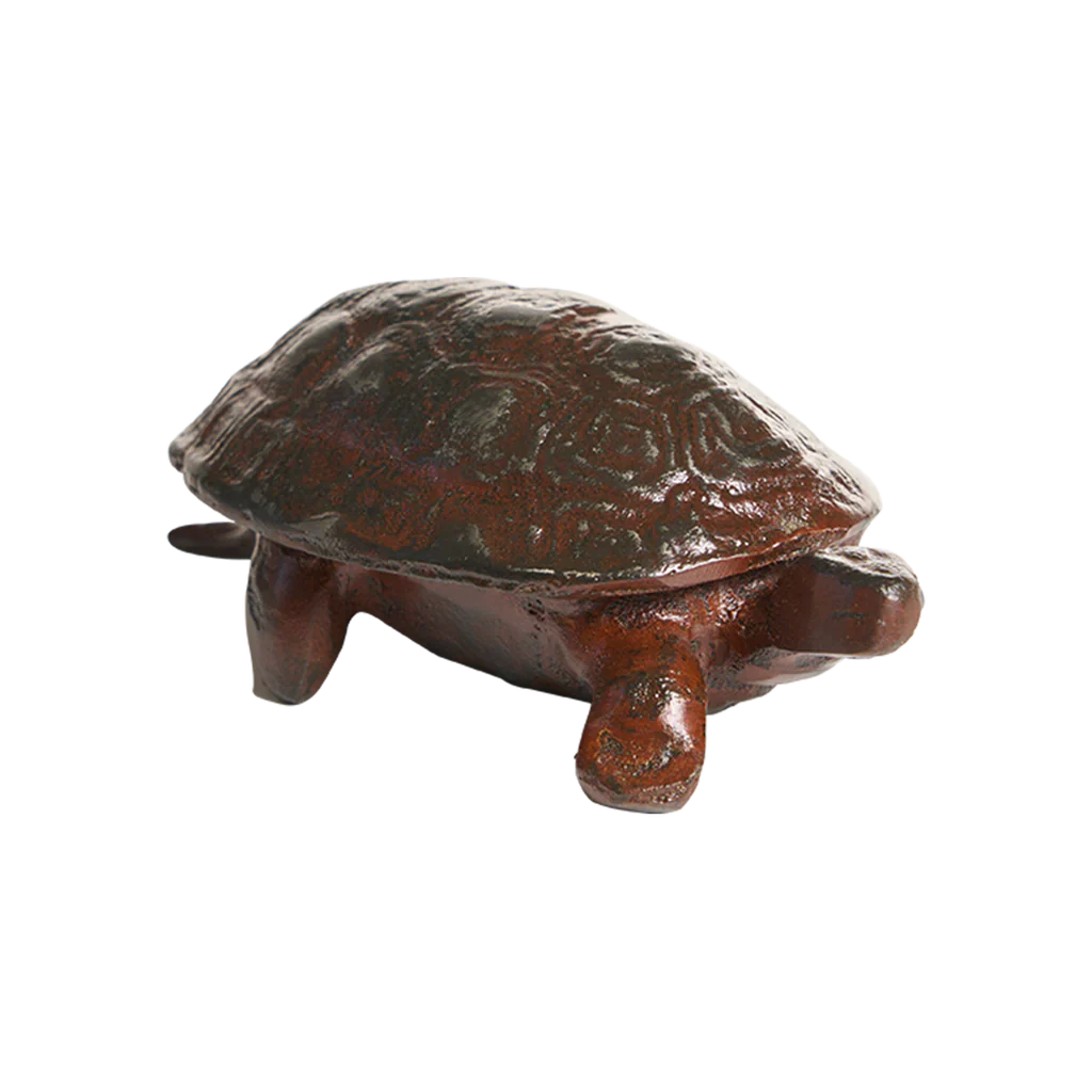 Jan Barboglio Iron Turtle