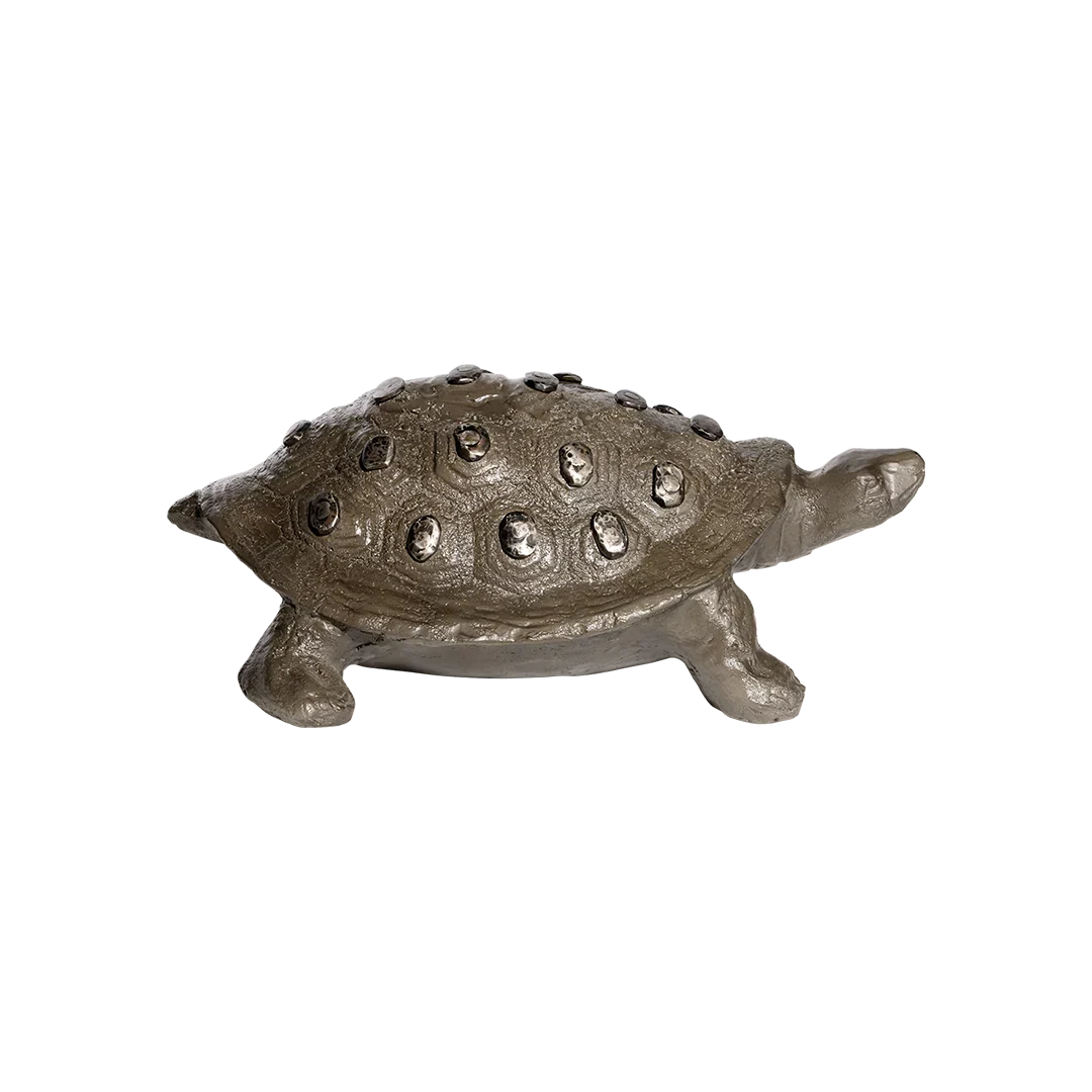 Jan Barboglio Tortuga Iron Turtle 10 x 14 inches