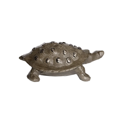 Jan Barboglio Tortuga Iron Turtle 10 x 14 inches