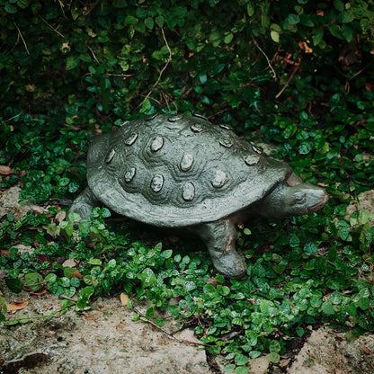 Jan Barboglio Tortuga Iron Turtle 10 x 14 inches