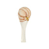 Vietri Pumpkins Spoon Rest