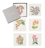 KIM SEYBERT  Orchid Cocktail Napkins in White & Multi, Set of 6 in a Gift Box