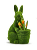 Moss Bunny with Basket in Front