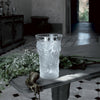 Lalique Vase - Fantasia