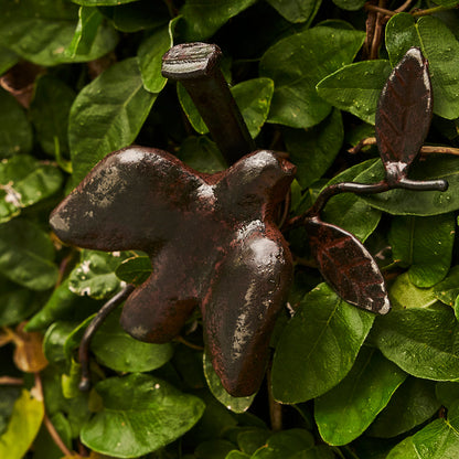 Jan Barboglio Paloma Keepsake Box