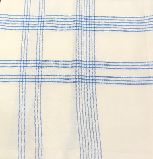 Design Imports Summer Day Blue Plaid Cloth Napkin