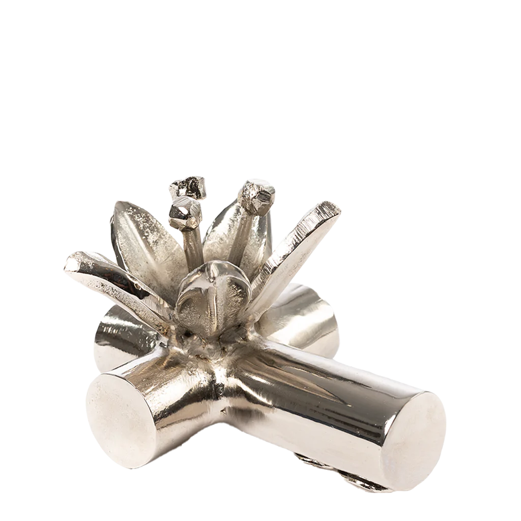 Jan Barboglio Pequeña Passion Cross Nickel