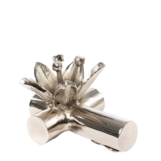 Jan Barboglio Pequeña Passion Cross Nickel