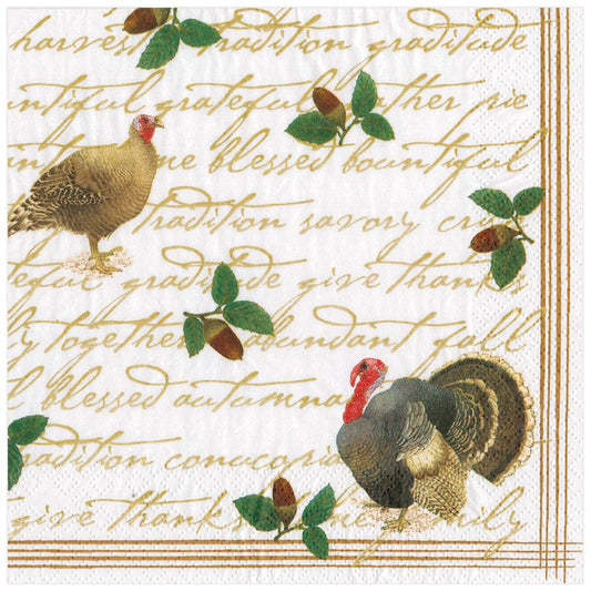 Caspari Dinner Napkins: Founders' Thanksgiving