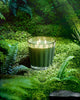 NEST New York Wilderness Midnight Moss and Vetiver 3-Wick Candle, 21.2 oz.